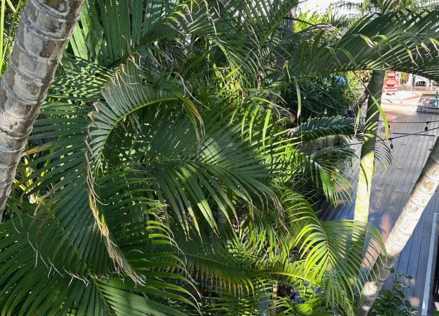 Douglas House Key West United States